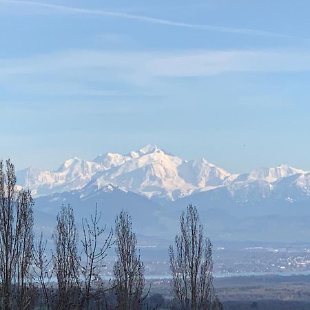 Chalet Du Montblanc 4 Pers Max Gex Εξωτερικό φωτογραφία