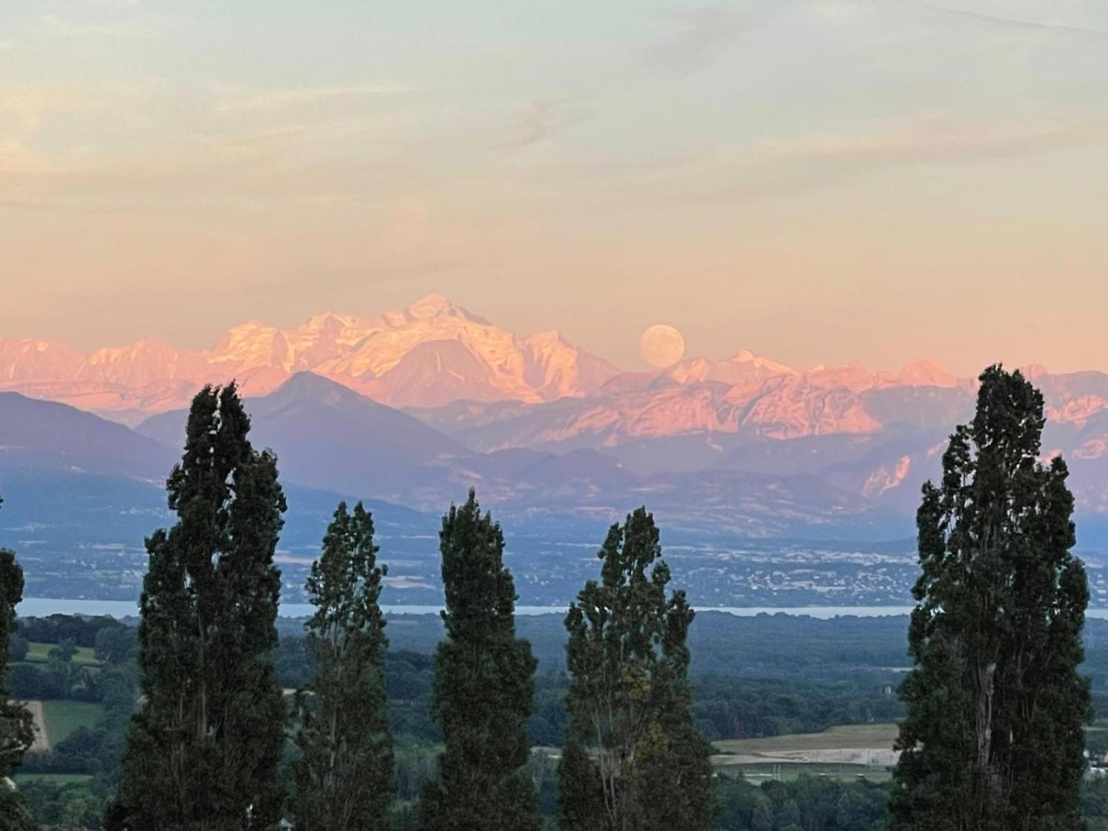 Chalet Du Montblanc 4 Pers Max Gex Εξωτερικό φωτογραφία